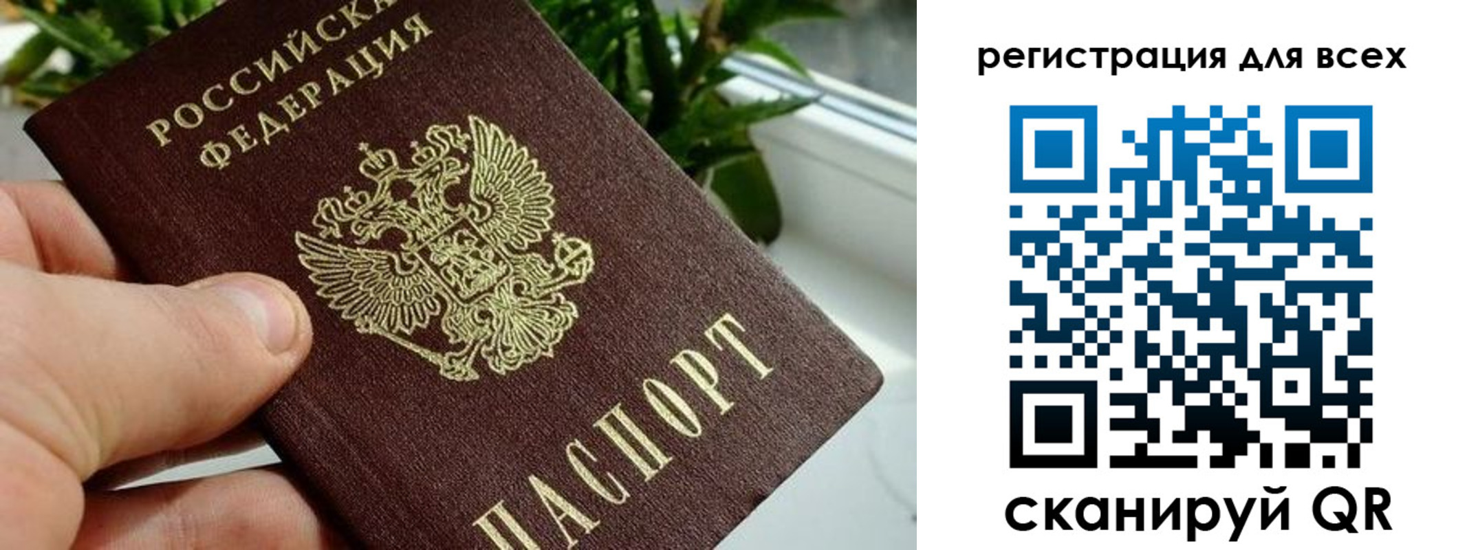 регистрация для дет. сада в Волосово